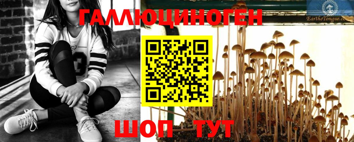 Галлюциногенные грибы Cubensis Трёхгорный